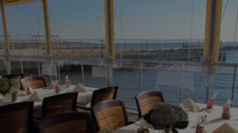 fatfish HeaderImages